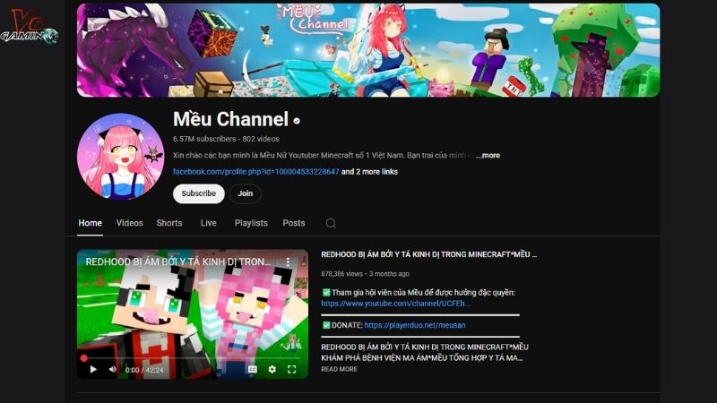 meu-channel-1